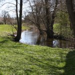 IMG_9208.JPG